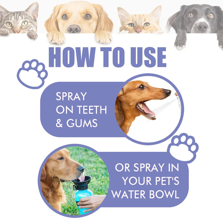 Pet Teeth Cleaning Spray Oral