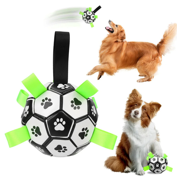 Interactive Soccer Brain Game for Dogs