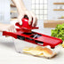 Multifunction Kitchen Slicer 6 Blades